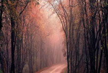 [德甲]斯图加特逆转战胜柏林联合.