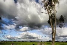 CBA今日10场大战,辽宁、首钢、新疆争前四,广东目标第六.