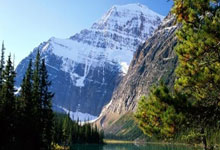 前三届欧国联冠军均成功打进四强，仅东道主德国不曾夺冠.